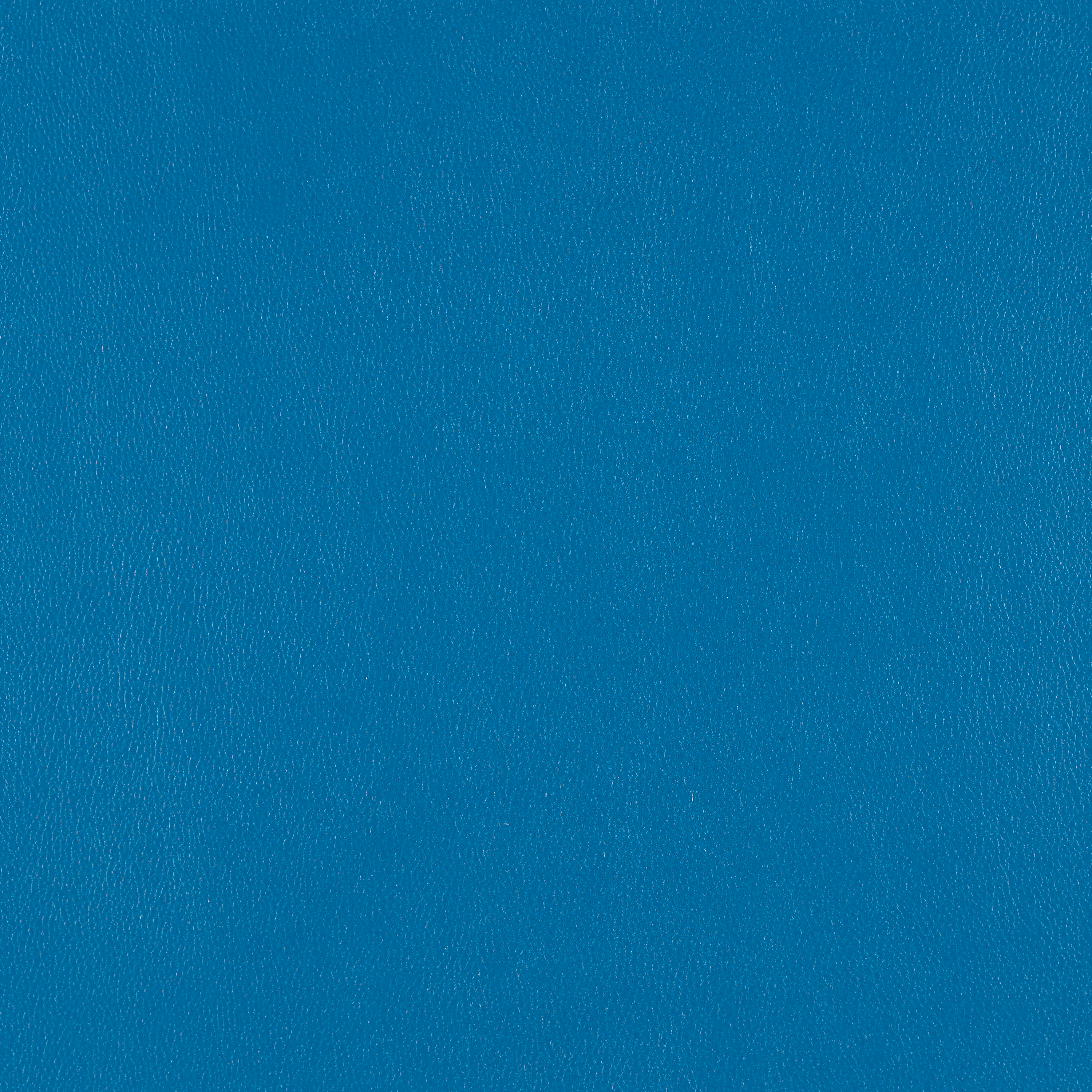 Silicone Element Splash 3919407 T