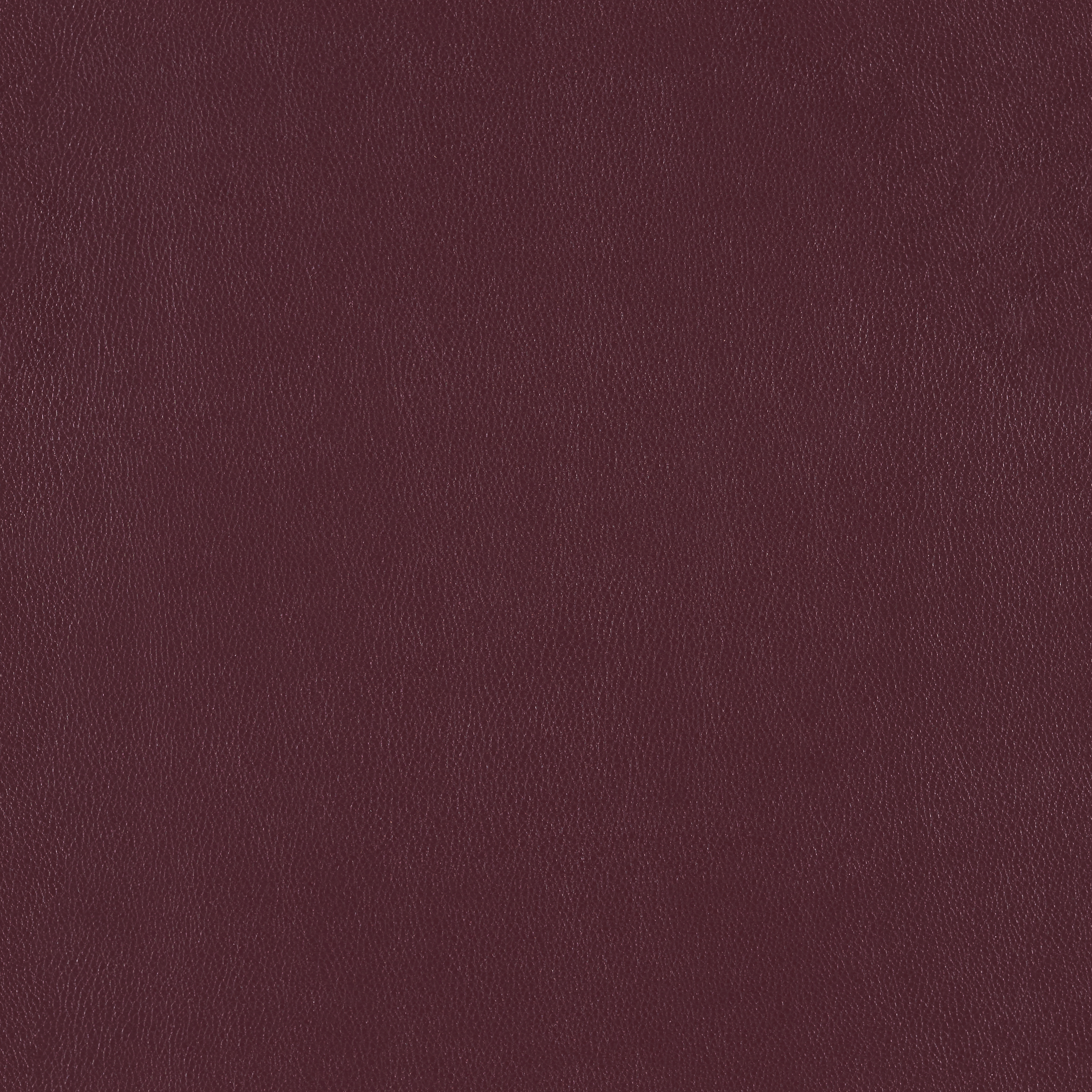 Silicone Element Tamarind 3919602 T