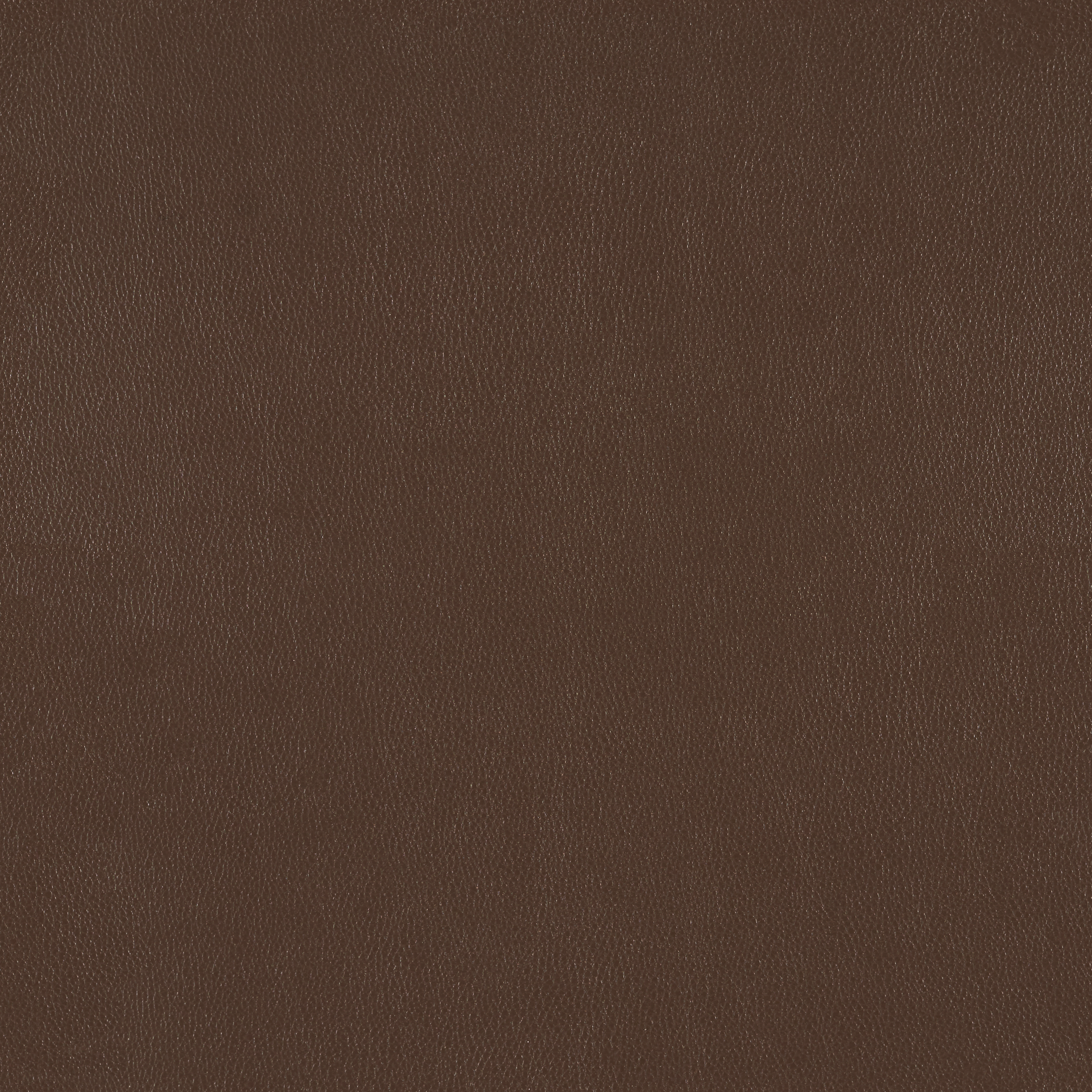 Silicone Element Truffle 3919113 T