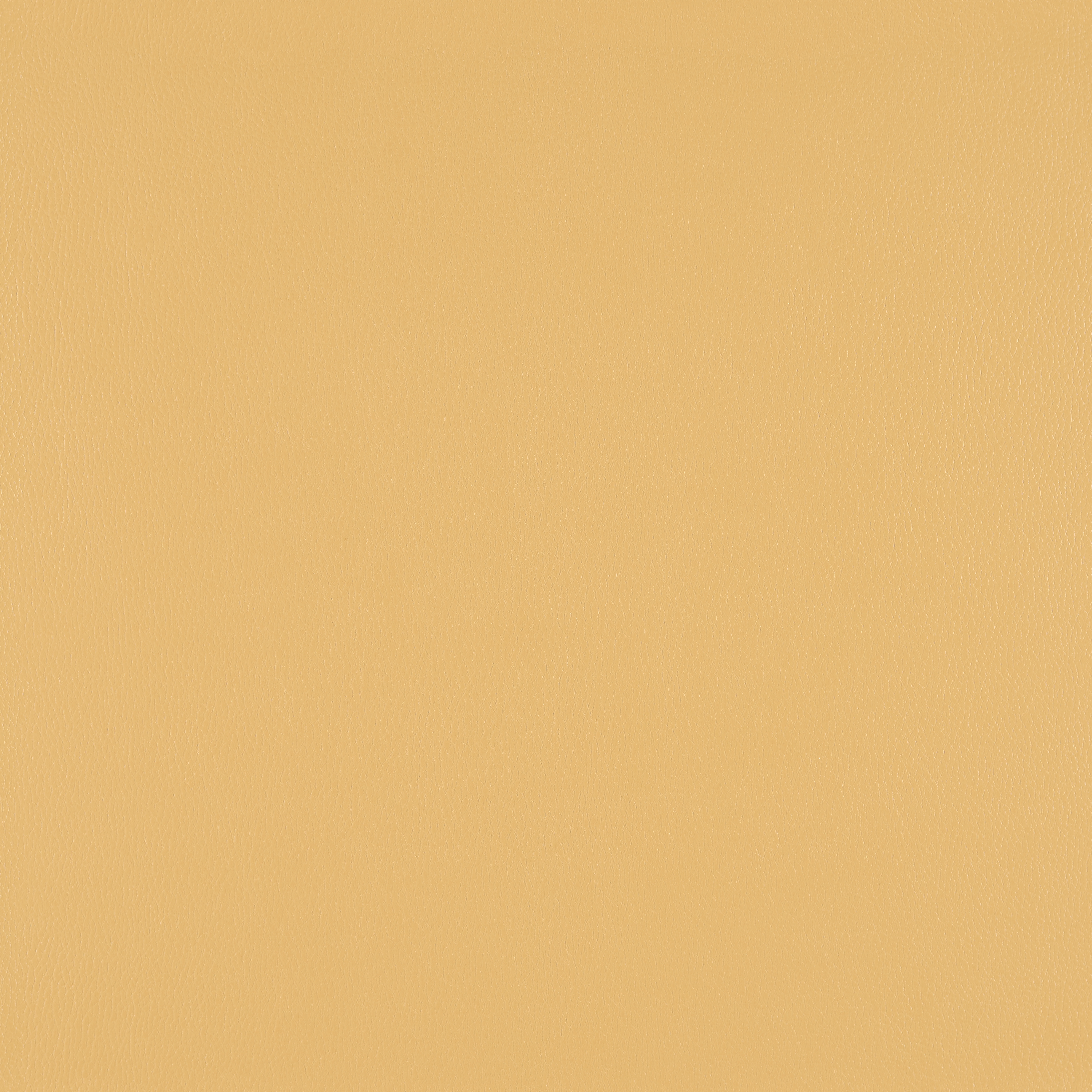 Silicone Element Vicuna 3919203 T