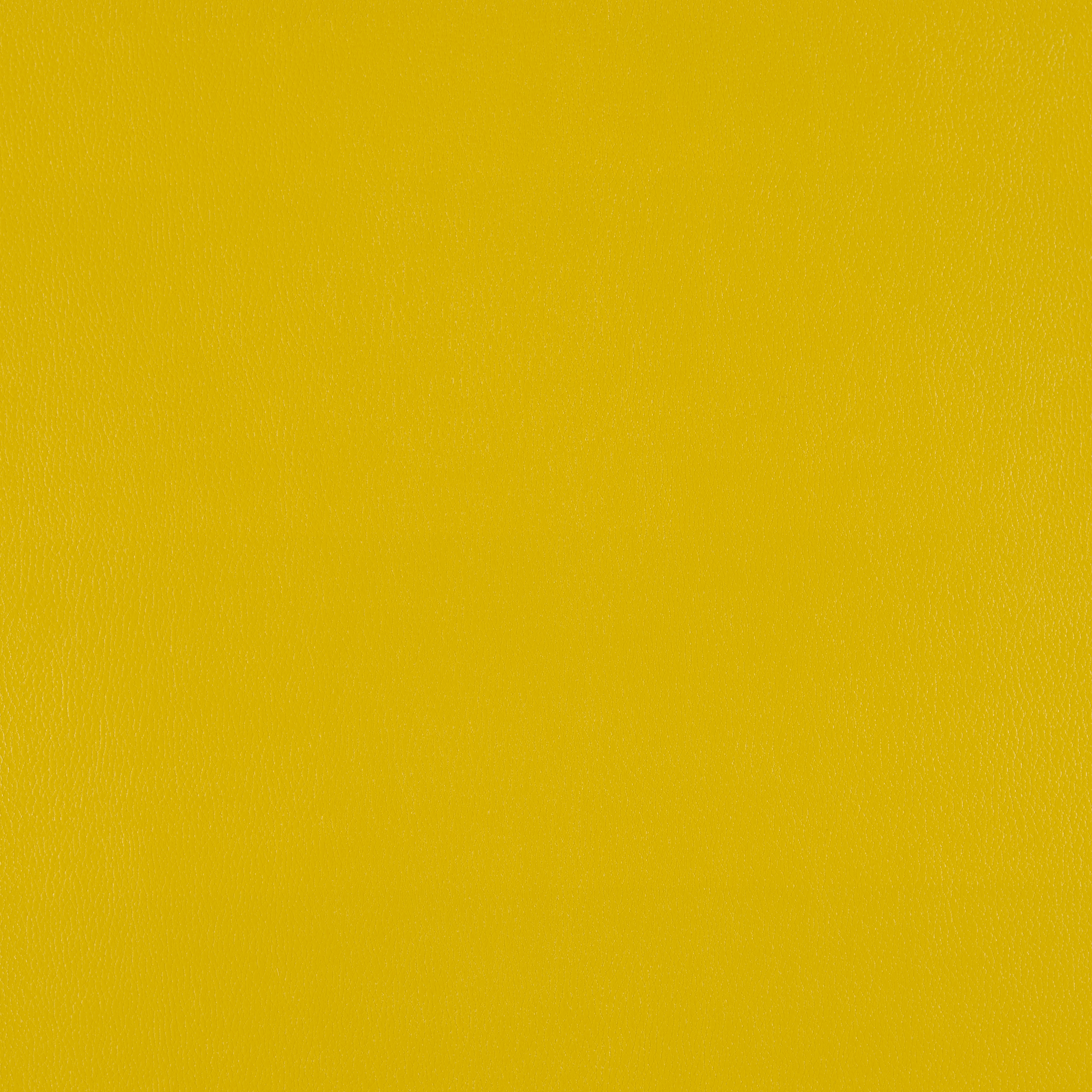 Silicone Element Yarrow 3919204 T