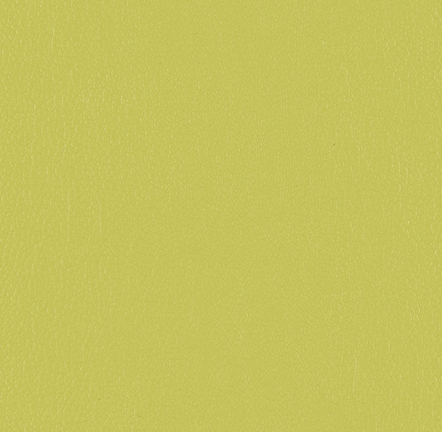 Sorano Chervil 3403504