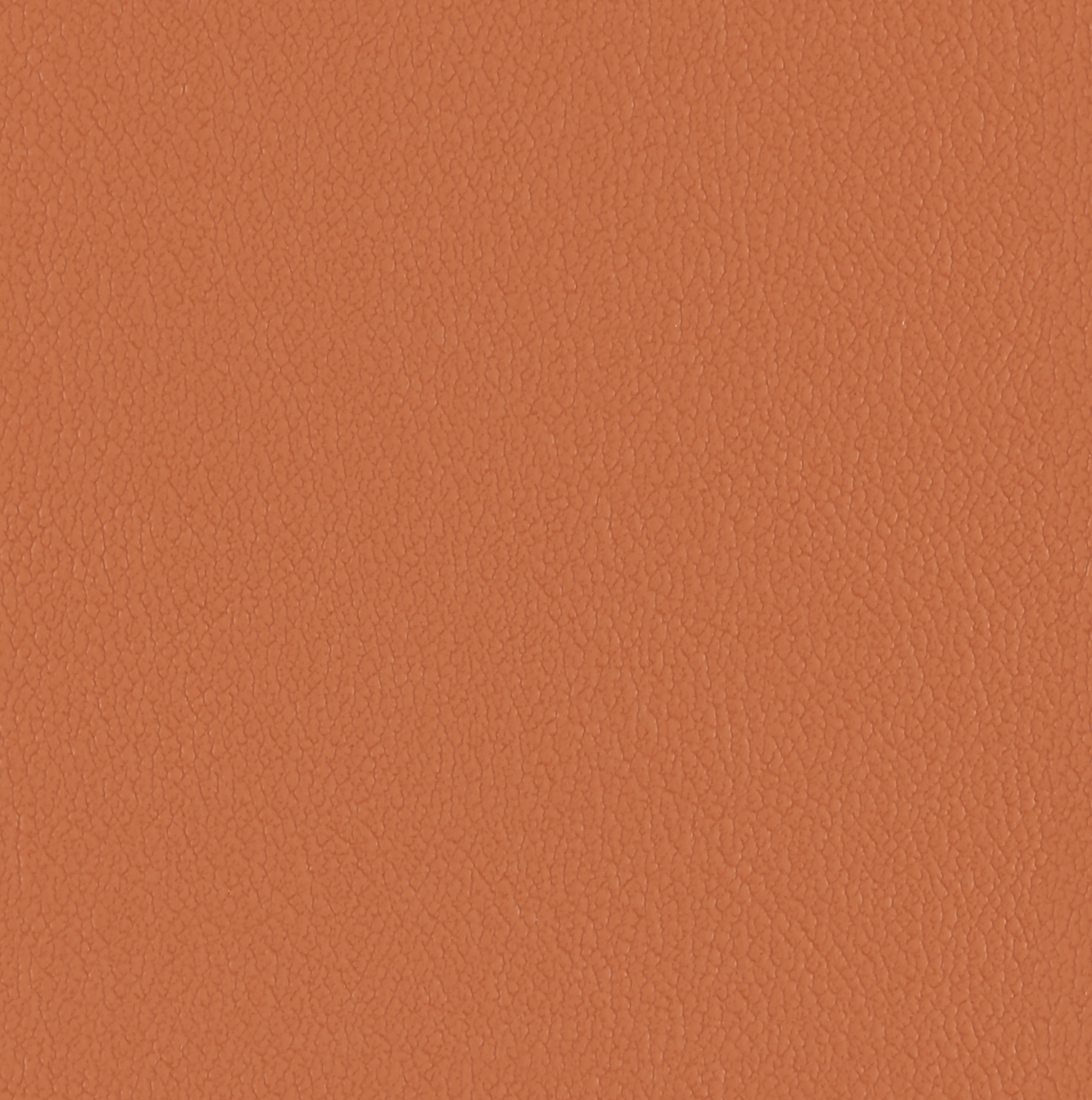 Sorano Nutmeg 3403702