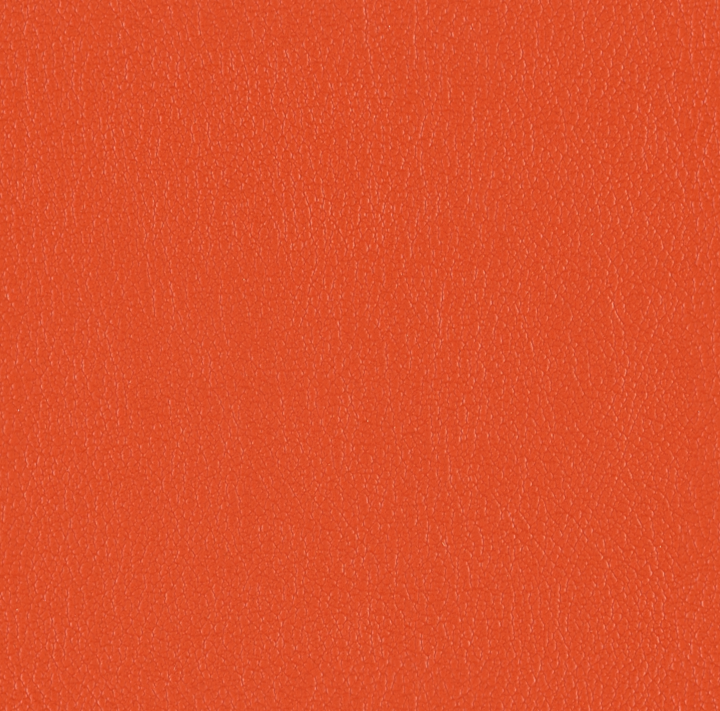 Sorano Persimmon 3403703