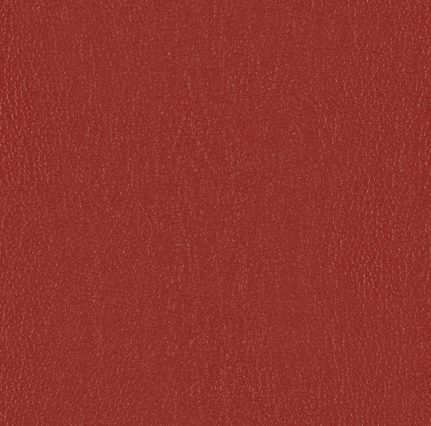 Sorano Pomegranate 3403303