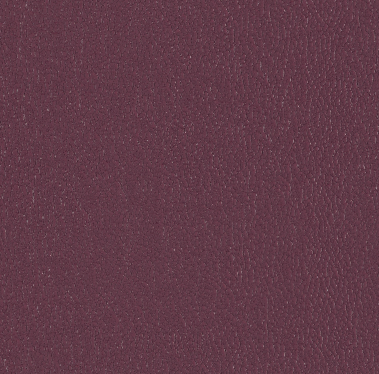 Sorano Raisin 3403601