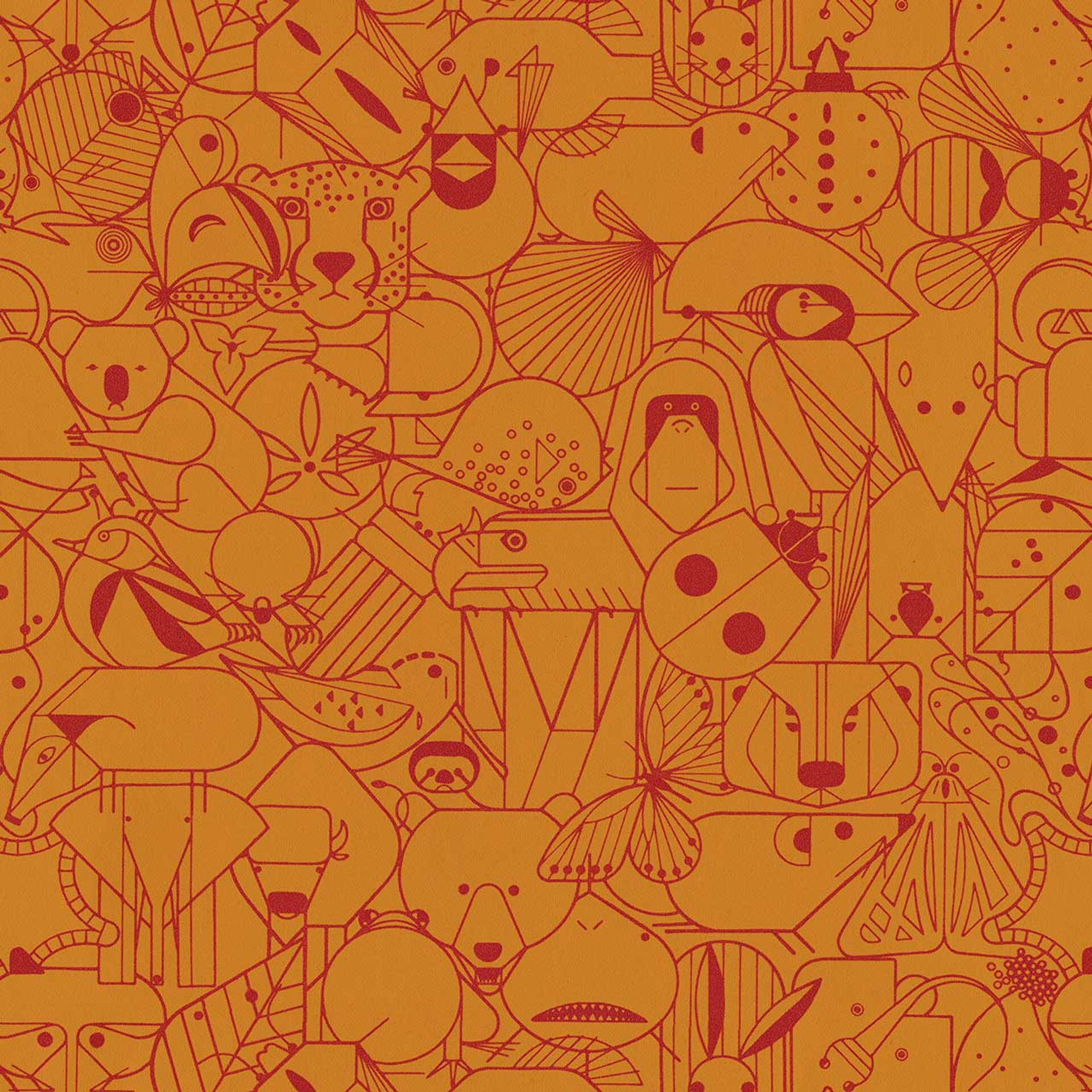 Tamarin 3043704 26453