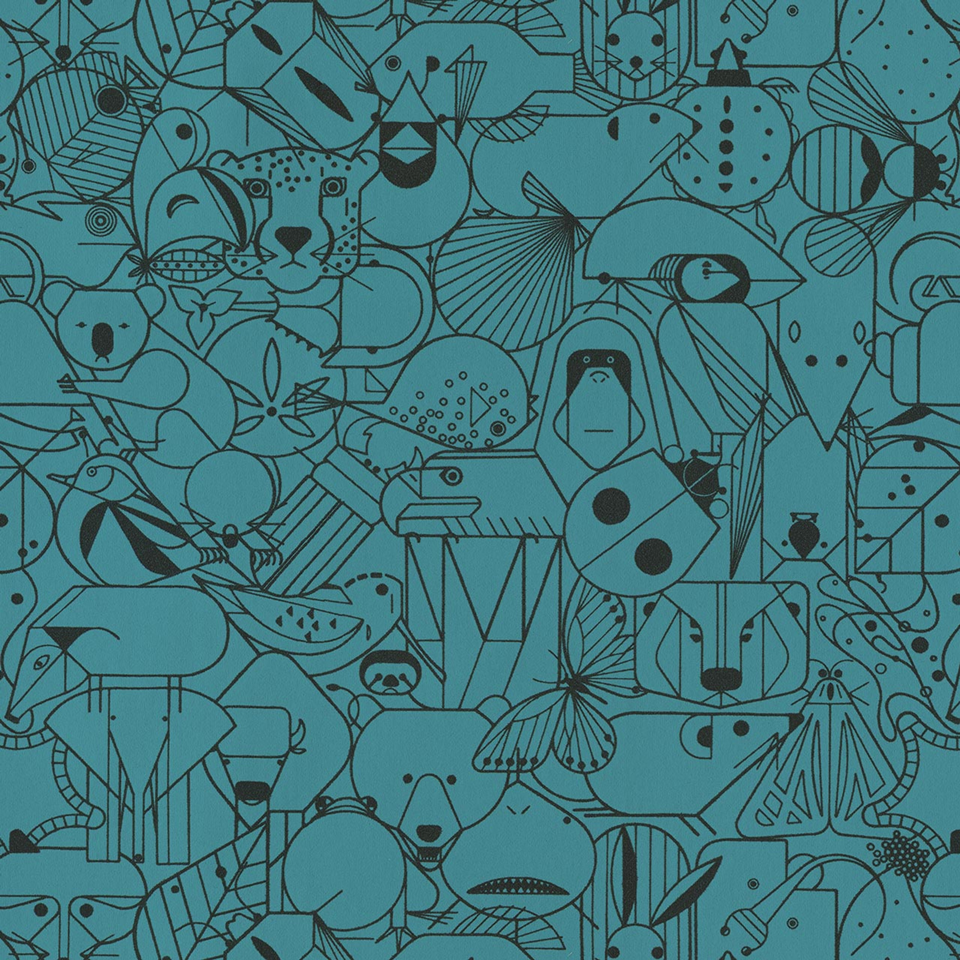 Teal Owl 3043406 18995