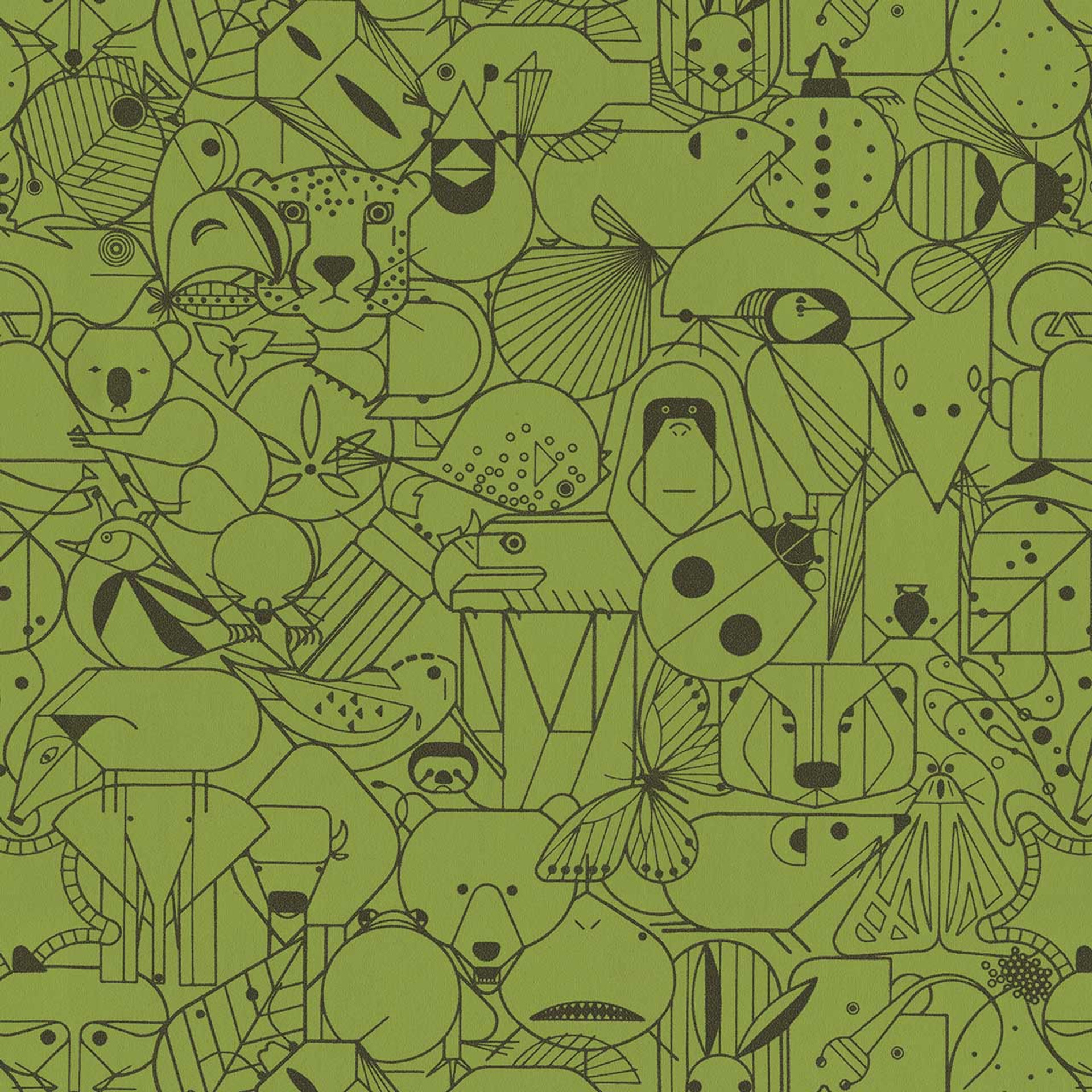 Tortoise 3043502 40665