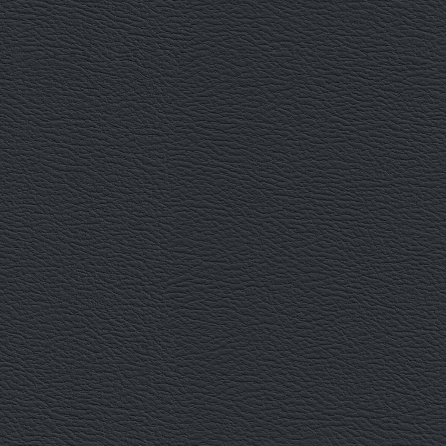 Varsity Pirate Black