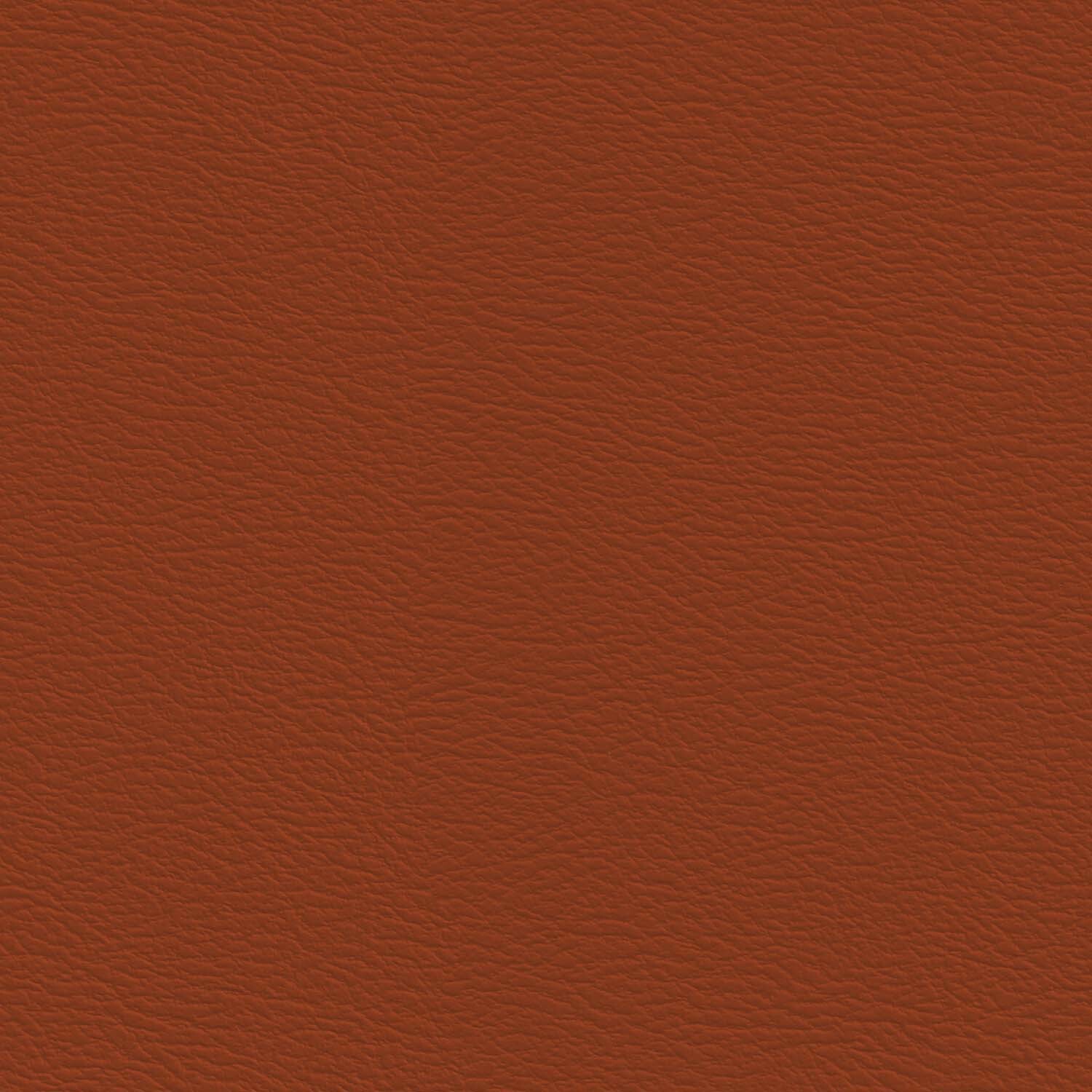 Varsity Solid Orange