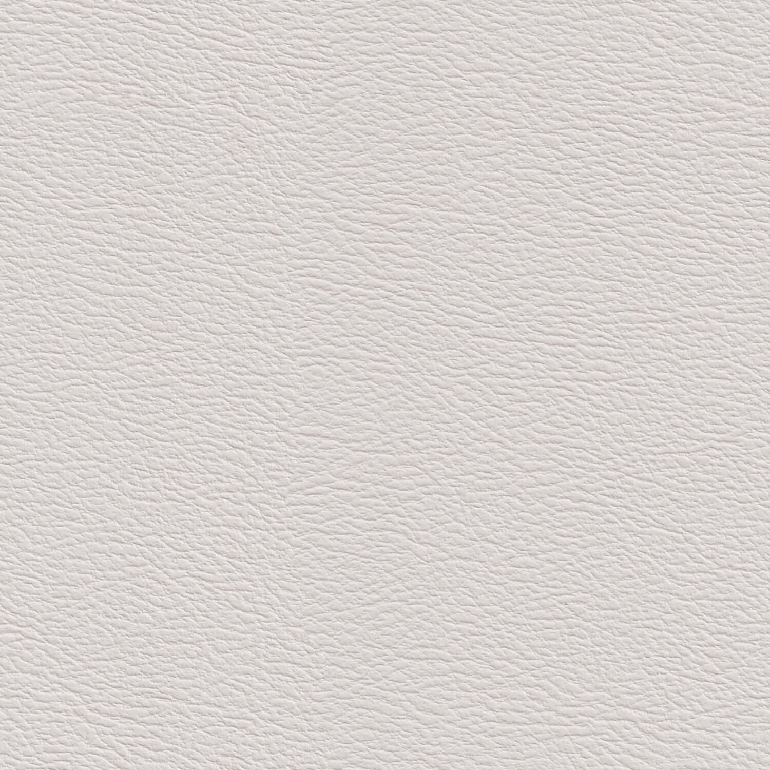 Varsity Summer White