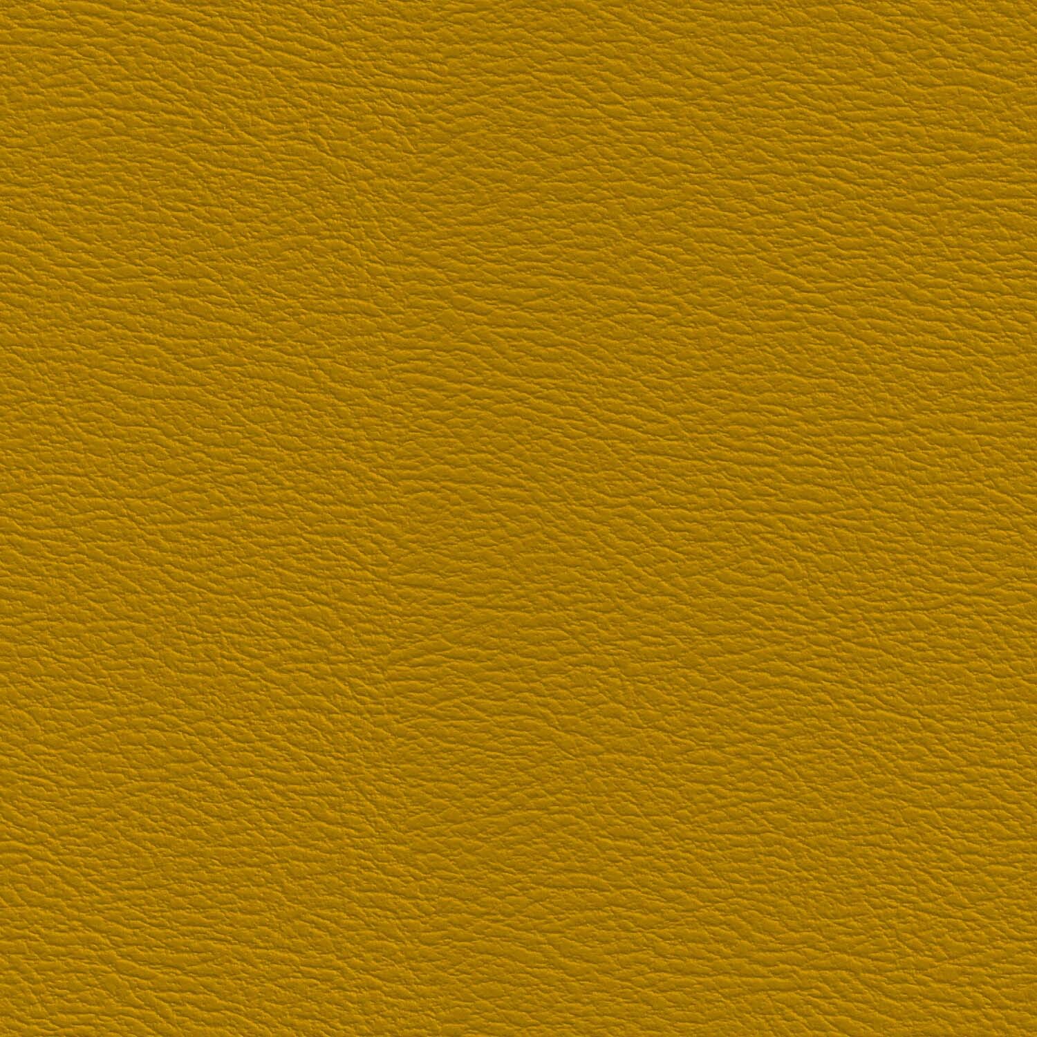 Varsity Yellow Magic