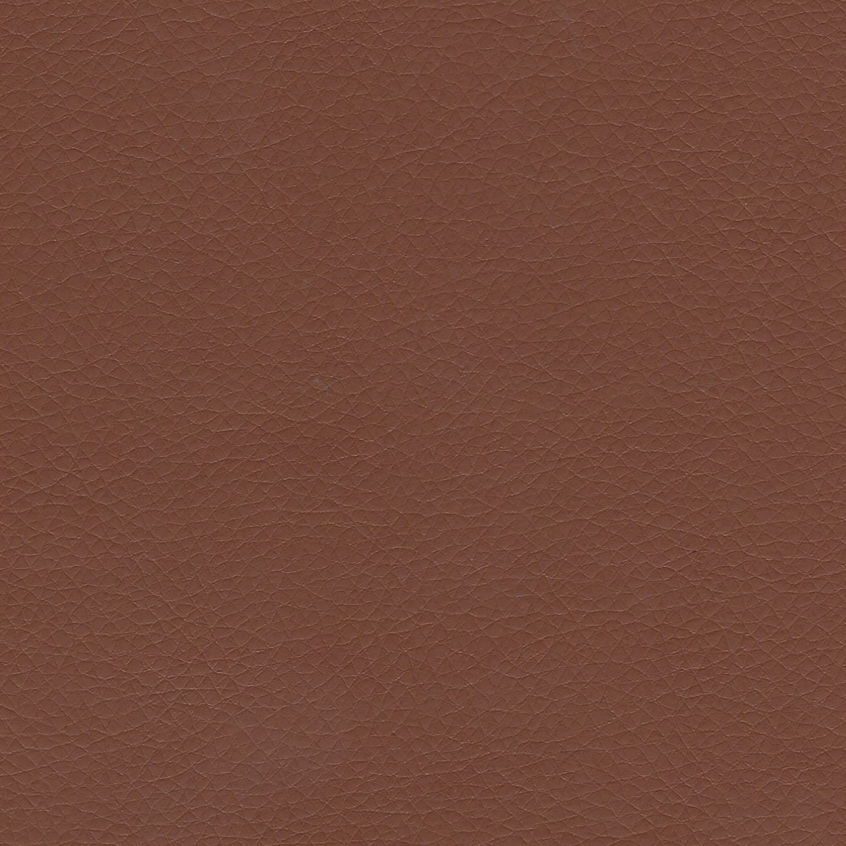 Dolce 2 Russet