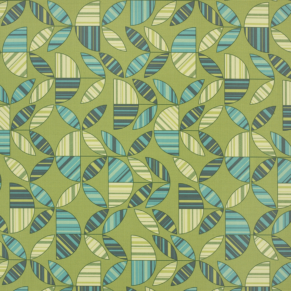 Silica gidget thrive